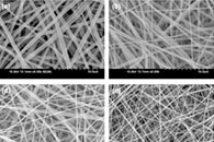Appl. Sci.：含LiCl的电纺纳米纤维在水处理应用中的参数化研究