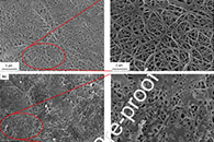 Int. J. Biol. Macromol.：响应面法优化电纺聚己内酯-壳聚糖纤维固定化酪氨酸酶，用于去除双酚A