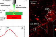 ACS Appl. Mater. Interfaces：电纺纳米金刚石-丝素蛋白膜：一种用于生物传感和伤口愈合应用的多功能平台