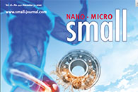 上交大崔文国和清华张洪玉《Small》：轴承仿生超润滑球促关节修复