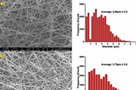 Macromol. Chem. Phys.：电纺PCA纤维的制备及其生物降解和热学特性的研究
