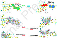 西北工业大学金洗郎Spectrochim. Acta. A Mol. Biomol. Spectrosc.：比率型探针修饰荧光传感膜用于Cu2+的可视化和循环监测