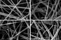 Mater. Chem. Phys.：丝胶包裹银纳米粒子涂覆PET基纳米纤维敷料的合成、表征及伤口愈合能力