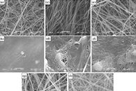 绍兴文理学院邵林军Cellulose：通过静电纺丝和热处理制备柠檬酸交联壳聚糖/聚环氧乙烷复合纳米纤维，用于可控药物释放