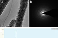 西北师范大学王涛J. Mater. Sci. Mater. Electron.：g-C3N4/TiO2纳米纤维的制备及其光催化性能研究