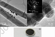 J. Alloys Compd.：Fe3O4纳米粒子浸渍碳纳米纤维的制备及其在锂离子电池中的应用