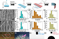 西北大学宋波涛Sens Actuators B Chem.：多孔双层PVA/PVB纳米纤维致动器的制备及其应用