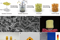 东华大学刘天西&樊玮Sci. China Mater.：超疏水PVDF/PI纳米纤维复合气凝胶的制备及其在极度潮湿和高温环境下的隔热性能