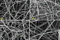 J. Appl. Polym. Sci.：电纺PVdF/TiO2纳米复合膜的性能比较分析及其在超级电容器中的应用