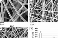 Synth. Met.：使用生物活性掺杂剂增强聚苯胺基支架的生物相容性