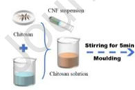 新疆大学夏鑫Colloids Surf. B Biointerfaces：罗布麻纤维素纳米纤维增强壳聚糖基复合水凝胶的制备与表征