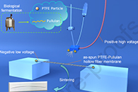 中科院过程工程研究所李玉平Sep. Purif. Technol.：超疏水PTFE中空纤维膜的静电纺丝制备及其在膜脱氨中的应用