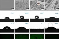 Appl. Surf. Sci.：p-PLLA纳米纤维膜作为体外诊断的双重信号纸基生物测定平台