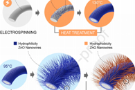 天津工业大学刘雍&范杰&厉宗洁J. Membr. Sci.：超疏水性P-ZnO@PVDF纳米纤维膜的制备及其在膜蒸馏中的性能研究