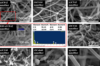 山东大学张子栋&张剑Fibers Polym.：Co/Al2O3复合纳米纤维的静电纺丝制备及其可调磁性能