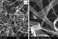 Sensors：石墨烯掺杂氧化锡纳米纤维和纳米带气体传感器的制备及其对不同疾病生物标志物的传感性能