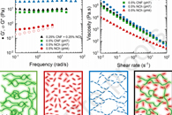 J. Colloid Interface Sci.：由纤维素纳米纤维和纳米甲壳素形成的缔合结构的pH响应性和流变性能