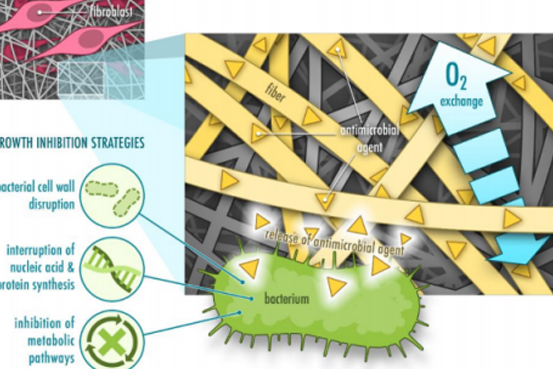 Pharmaceutics：静电纺丝蛋白质用作伤口辅料的机遇与挑战