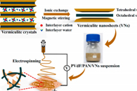 嘉兴学院刘海清&李雷J. Membr. Sci.：PVdF/PAN/VNs纤维膜的制备及其在锂金属电池中的应用