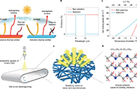 Nature Nanotechnology：南京大学朱嘉等人在聚合物纳米纤维薄膜取得新进展