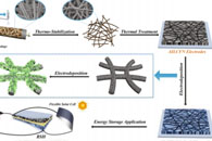 江南大学周曼&王强&东华大学蔡再生Chem. Eng. J.：互连木质素衍生碳纤维网络的制备及其在柔性电池-超级电容器混合设备中的应用