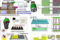 南工大陈苏团队《先进电子材料》：微流控静电纺丝制备高强度纳米纤维用于长寿命量子点显示器