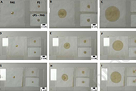 Colloids Surf. B Biointerfaces：由疏水性和亲水性电纺纤维制备的皮肤贴片的保湿效果及其在特应性皮炎治疗中的作用