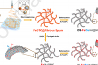 中国石油大学钟瑞琴&北京大学邹如强Chem. Eng. J.：在互连氮掺杂碳纳米纤维上合理扩散Fe/Se/Al原子团簇以实现快速嵌钠