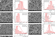 北京工商大学李姝静Colloids Surf. A Physicochem. Eng. Aspects：PVA-Ba-IC-NF的制备及其抗氧化和抗菌活性