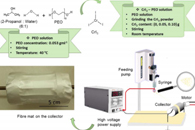 Nanotechnology：静电纺丝含高度取向范德华CrI3包裹体的功能化磁性复合纳米/微纤维