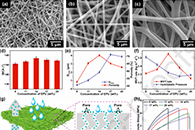 东华大学印霞J. Colloid Interface Sci.：原位静电纺丝百里酚负载聚氨酯纤维膜及其在伤口敷料中的应用