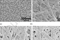 华北理工大学张志明&辽宁大学韩正波Colloids Surf. A Physicochem. Eng. Aspects：PAA-PVA/PW12@UiO-66 NFM的制备及其用于同时去除水溶液中的甲基橙和甲醛