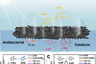 东华大学王黎明&覃小红Carbon：纳米纤维基折纸式蒸发器及其在多功能全向太阳能蒸汽发电中的应用