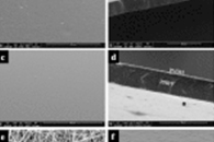 Innov. Food Sci. Emerg. Technol.：FO1噬菌体负载PHBV/涂层膜和PHBV/纳米纤维膜的比较研究