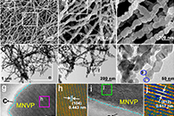 Biomaterials：模拟缺氧反应对改善人工血管移植物再生的影响