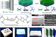 五邑大学贾永堂&东华大学丁彬J. Colloid Interface Sci.：超弹、可拉伸梯度结构微/纳米纤维海绵的制备及其在宽带吸声系统中的应用