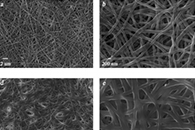 Effect of Crosslinking Type on the Physical-Chemical Properties and Biocompatibility of Chitosan-Based Electrospun Membranes Polymers：交联类型对壳聚糖基电纺膜物理化学性质和生物相容性的影响