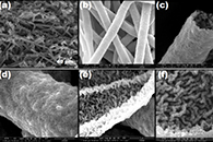 J. Colloid Interface Sci.：均匀ZnO中空管的单喷嘴静电纺丝制备及其在水体修复中的应用