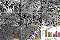 Int. J. Biol. Macromol.：心脏组织工程用PU/Cs/CNT纳米纤维支架的制备与表征