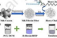 江苏大学刘磊J. Colloid Interface Sci.：丝素重链/PCL核-壳纳米纤维的力学性能与长期释药行为研究