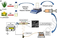 Spectrochim. Acta. A Mol. Biomol. Spectrosc.：芦荟和贯叶连翘负载PCL/Ge纳米纤维敷料对糖尿病创面愈合的光谱化学和生化测定比较研究