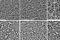 Nanomaterials：聚合物乳胶性质对静电纺丝纤维形态的影响