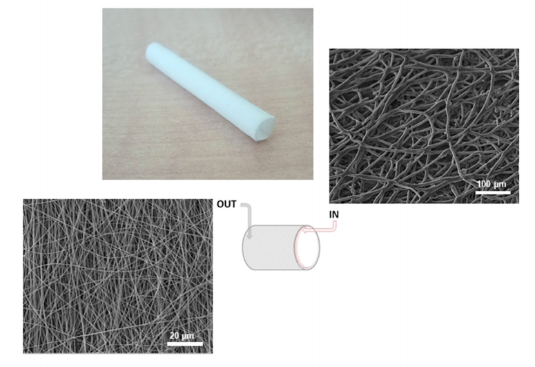 Nanomaterials：电纺PCL基血管移植物的体外实验