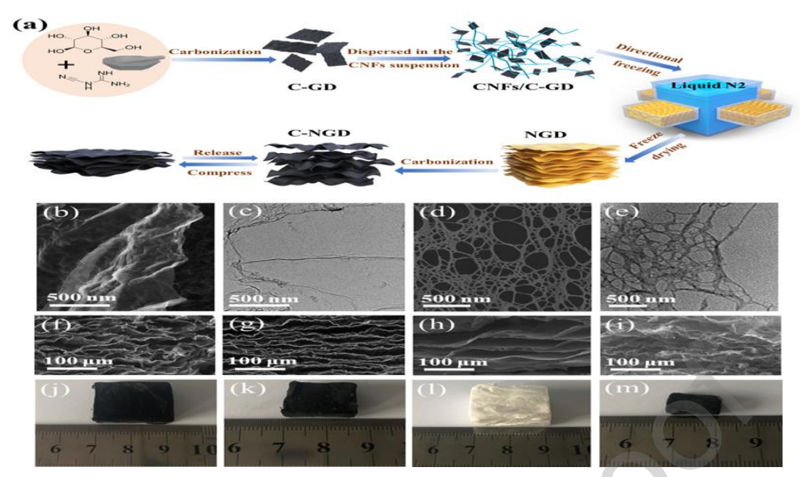 厦门大学刘健&叶美丹&曾宪海Nano Energy：生物质衍生多功能波状分层碳气凝胶的制备及其在可穿戴电子设备中的应用