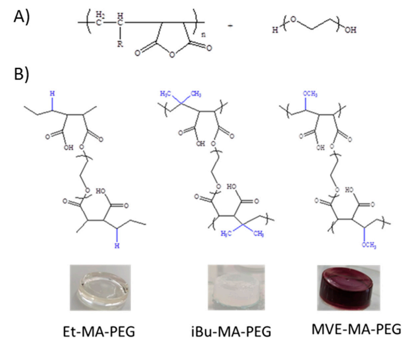 Polymers：马来酸酐共聚物水凝胶的制备及其性能