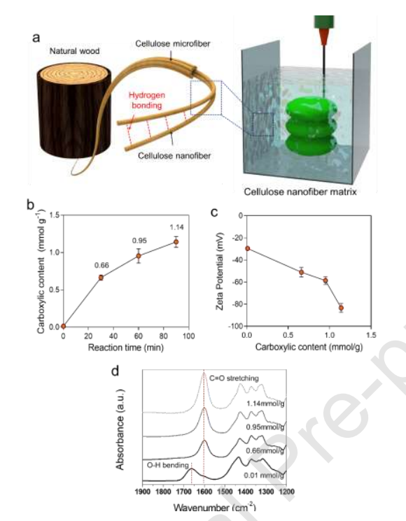 Carbohydr. Polym.：纤维素纳米纤维水凝胶的流变特性及其在高保真3D打印中的应用
