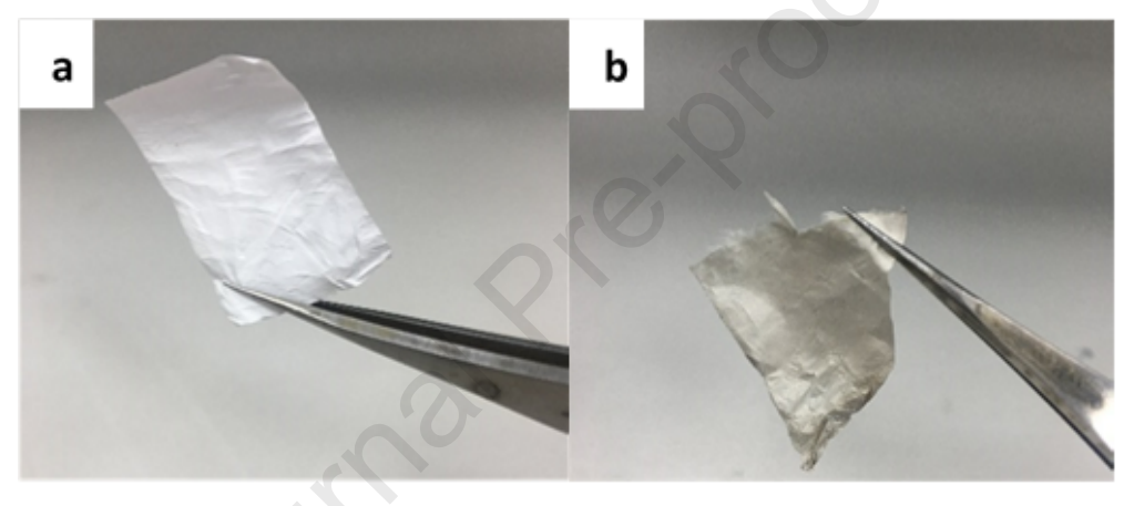 Mater. Des.：RuO2纳米粒子负载柔性sPEEK/PVP纳米纤维的制备与研究