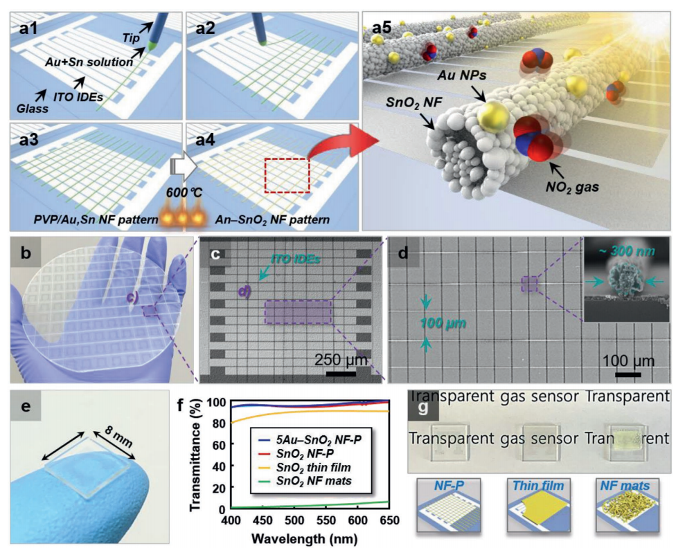 Small：透明Au–SnO2 NF-P传感器的设计及其在室温下检测痕量NO2的性能