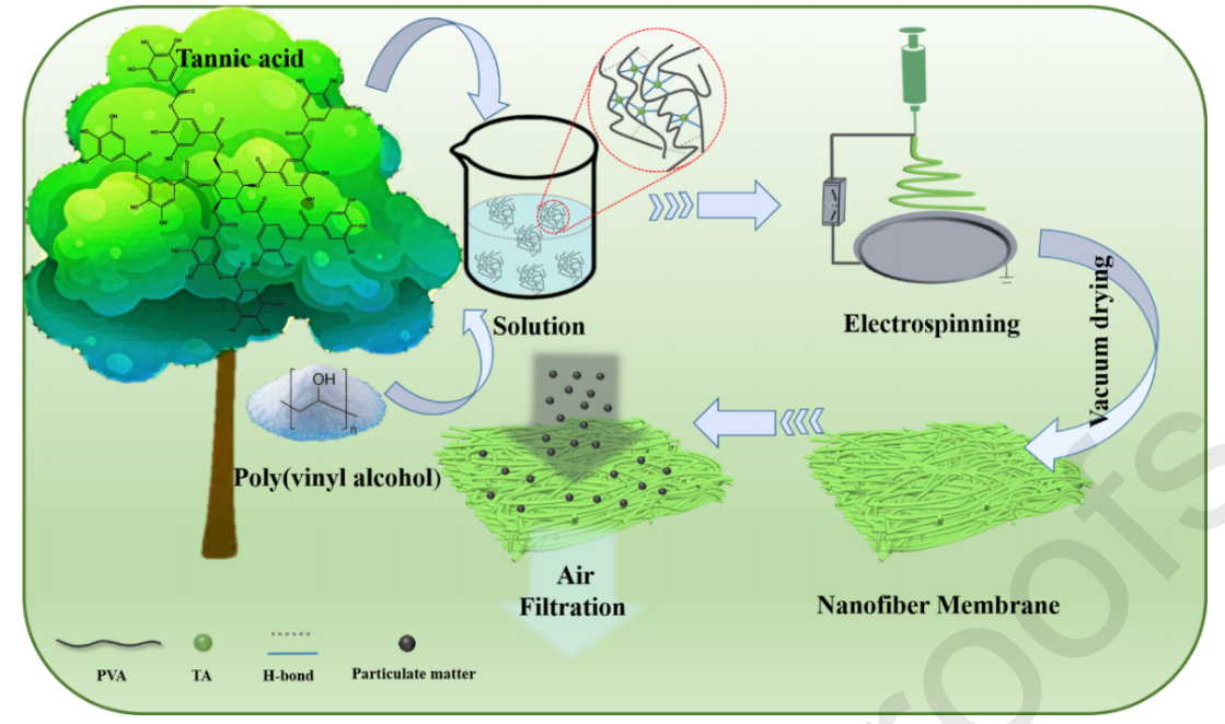 南京林业大学黄超伯J. Colloid Interface Sci.：环保型PVA-TA纳米纤维膜的制备及其PM1.0过滤性能