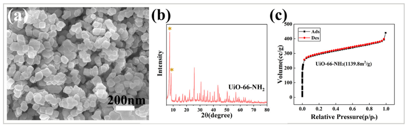 天津工业大学庄旭品&李振环Int. J. Hydrogen Energy：UiO-66-NH2功能化纤维素纳米纤维嵌入磺化聚砜中作为质子交换膜